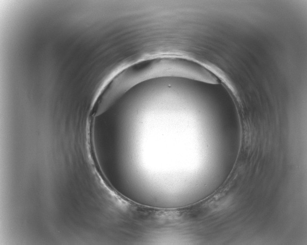 X0000066001006200603101526