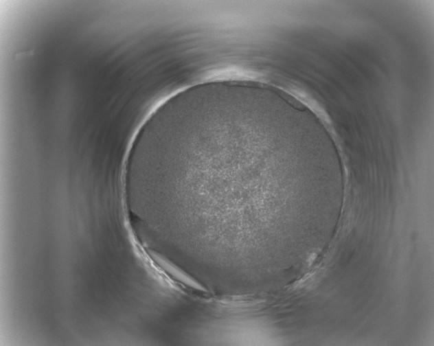 X0000066001008200603101526