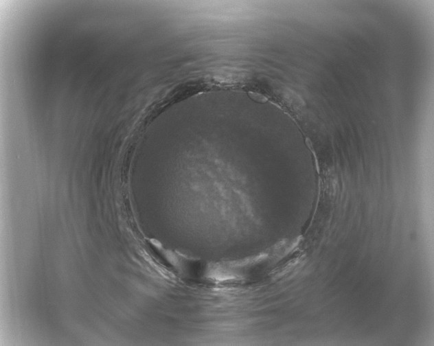 X0000066001009200603101525