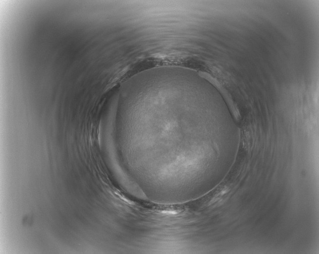 X0000066001010200603101525