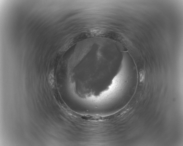 X0000066001011200603101525