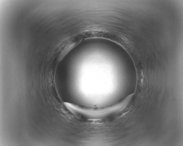 X0000066001014200603101525