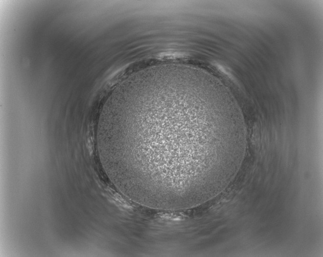 X0000066001015200603101525