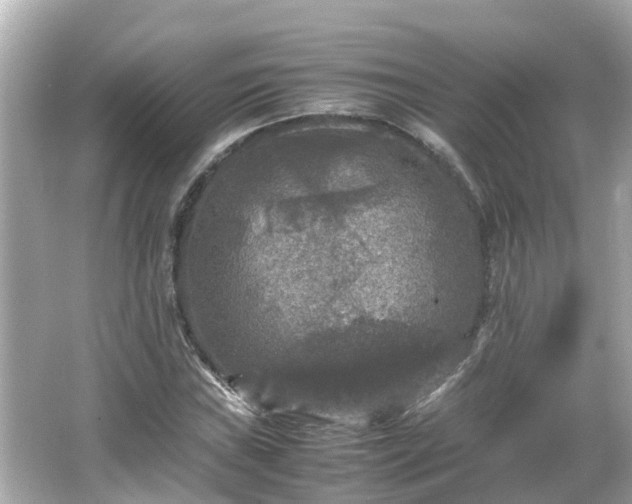 X0000066001019200603101525