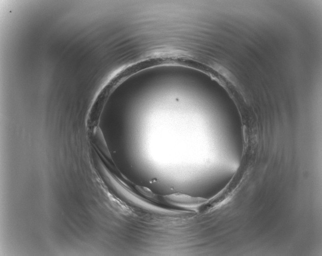 X0000066001022200603101525