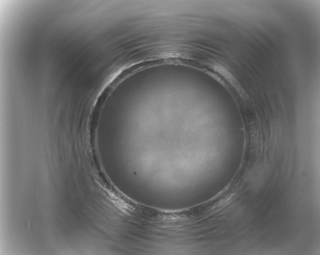 X0000066001023200603101525