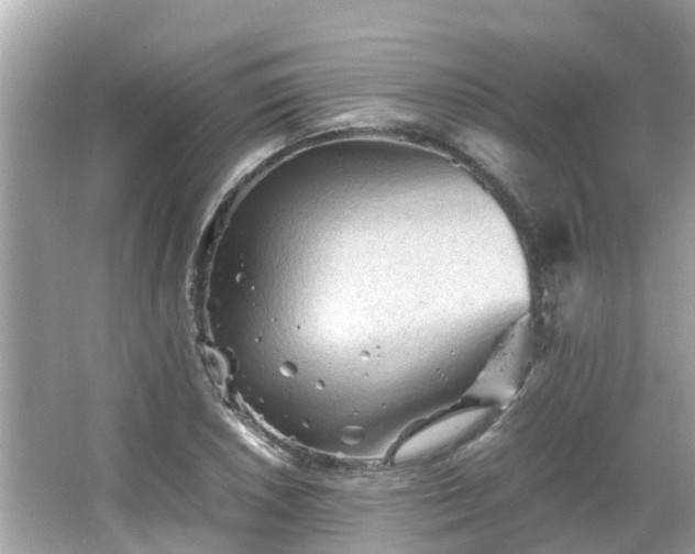 X0000066001026200603101525