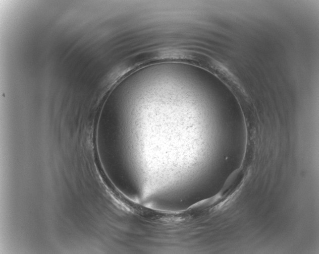 X0000066001033200603101525