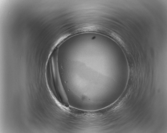 X0000066001034200603101525