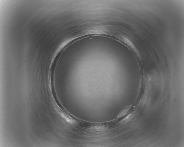 X0000066001035200603101525