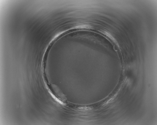 X0000066001037200603101525