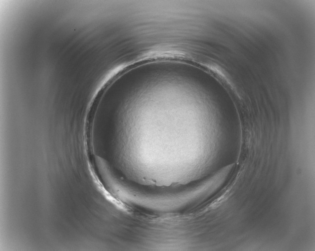 X0000066001038200603101525