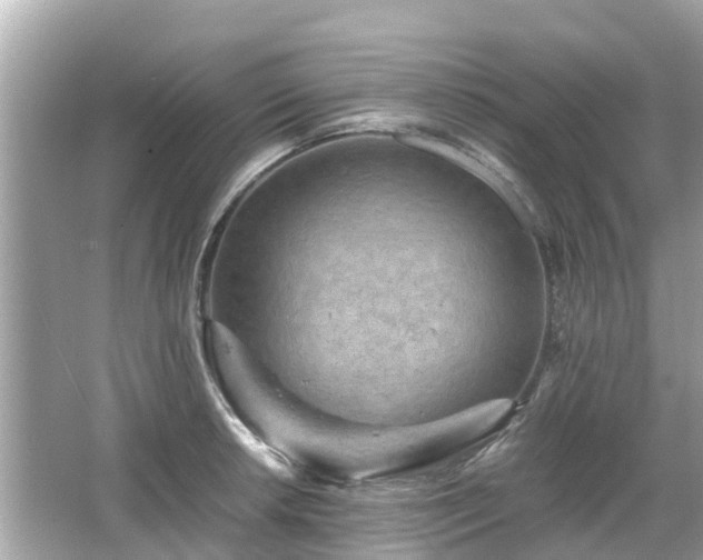 X0000066001042200603101525