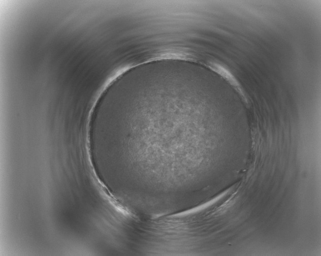 X0000066001043200603101525