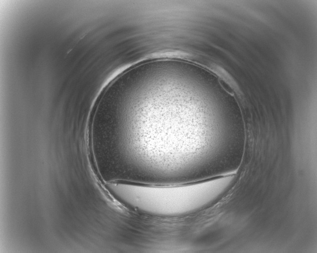 X0000066001044200603101525