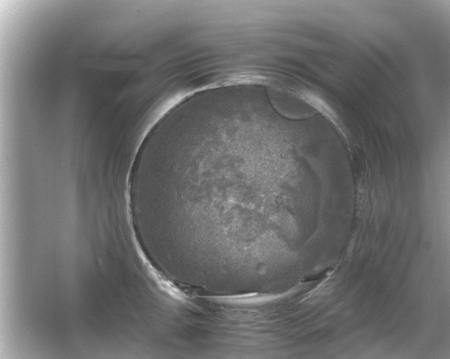 X0000066001047200603101525