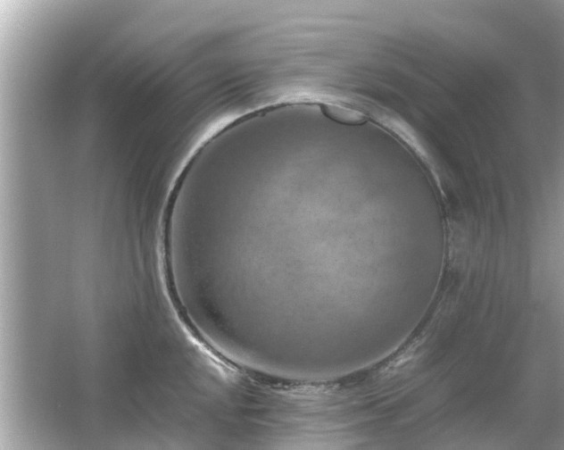 X0000066001048200603101525