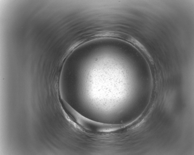 X0000066001049200603101525