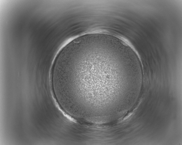 X0000066001053200603101525