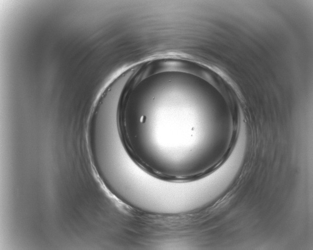 X0000066001054200603101525