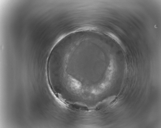 X0000066001055200603101525