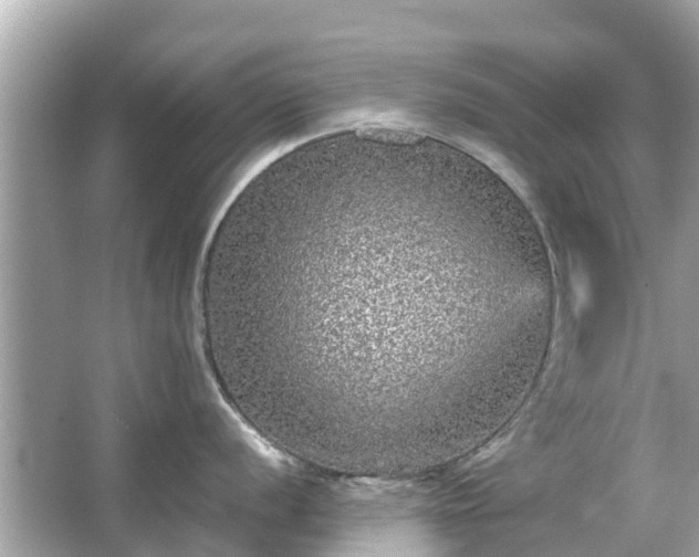 X0000066001056200603101526