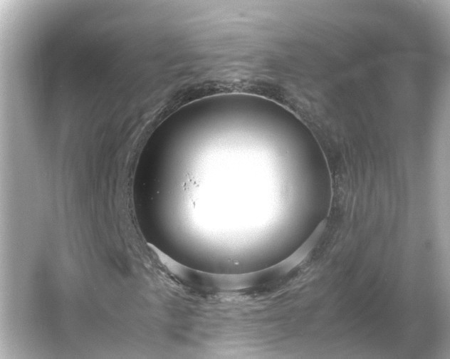 X0000066001057200603101525