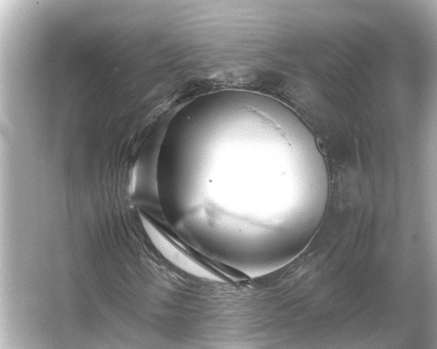 X0000066001058200603101525