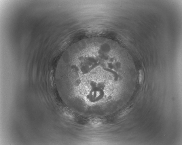 X0000066001059200603101525