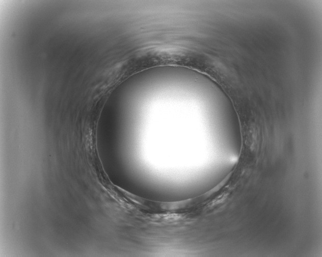 X0000066001061200603101525