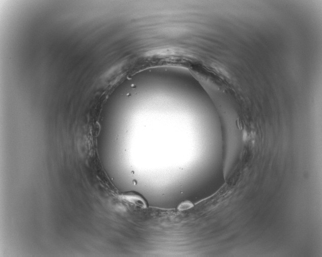 X0000066001062200603101525