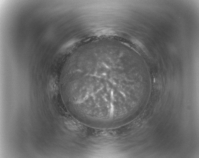 X0000066001063200603101525