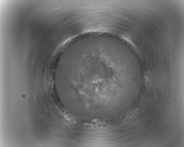 X0000066001064200603101525