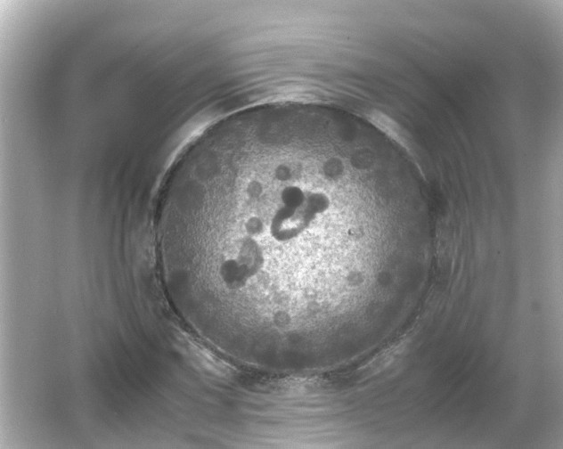 X0000066001067200603101525