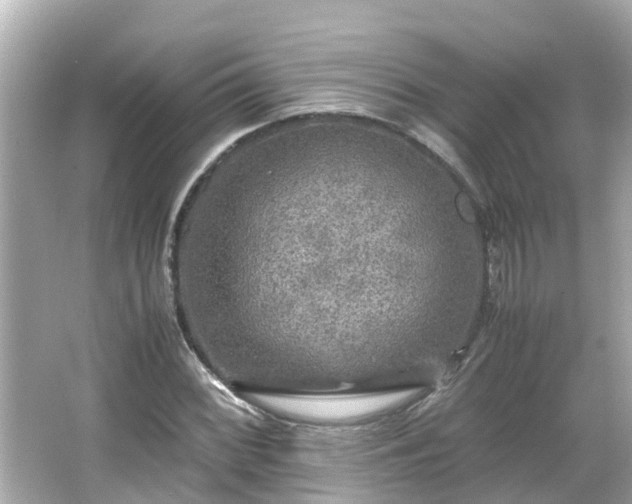 X0000066001068200603101525