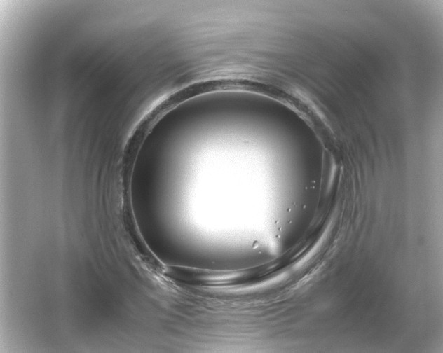 X0000066001069200603101524