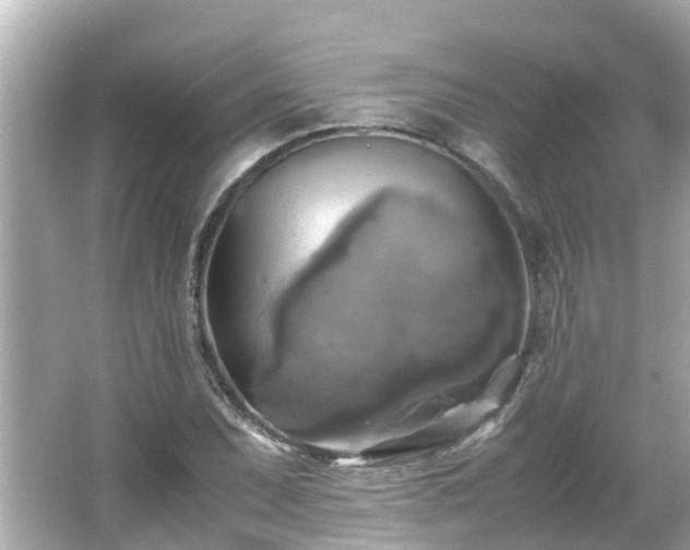 X0000066001071200603101524