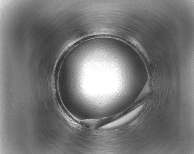 X0000066001072200603101524