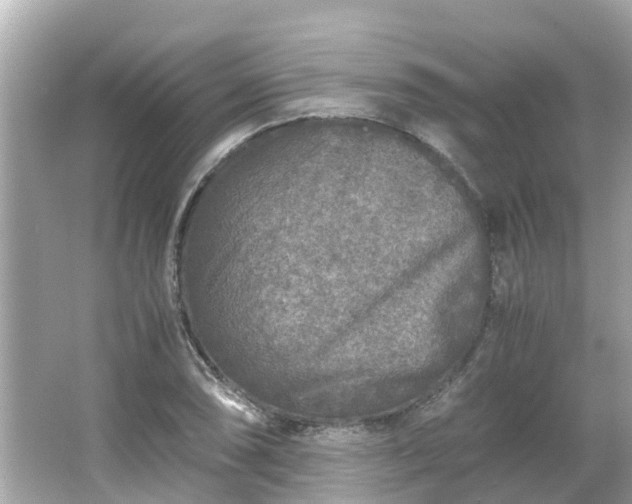 X0000066001074200603101524