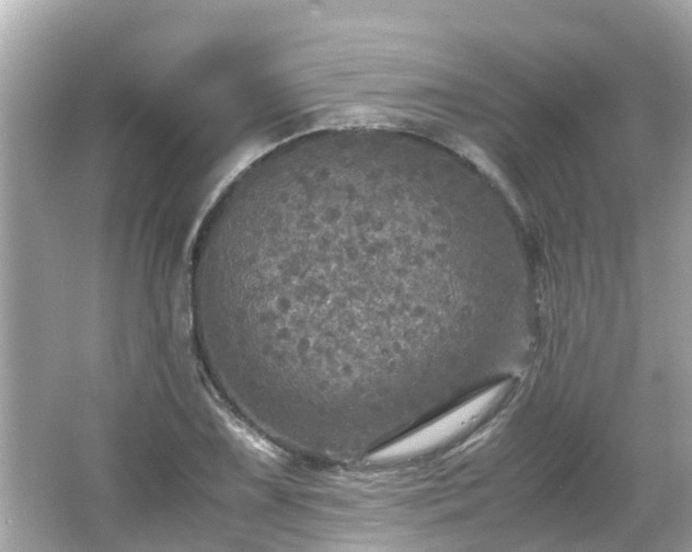 X0000066001075200603101524