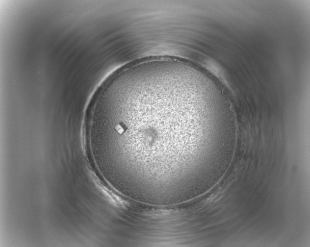 X0000066001076200603101524