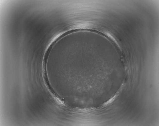 X0000066001077200603101524