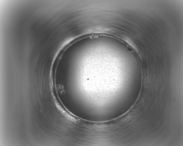 X0000066001080200603101524