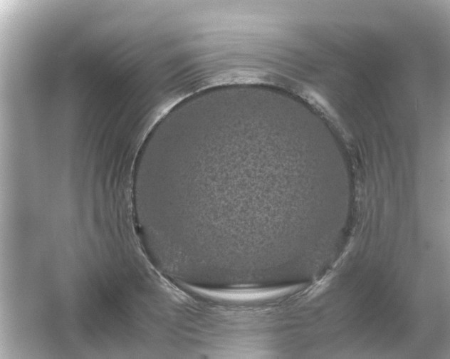 X0000066001081200603101524