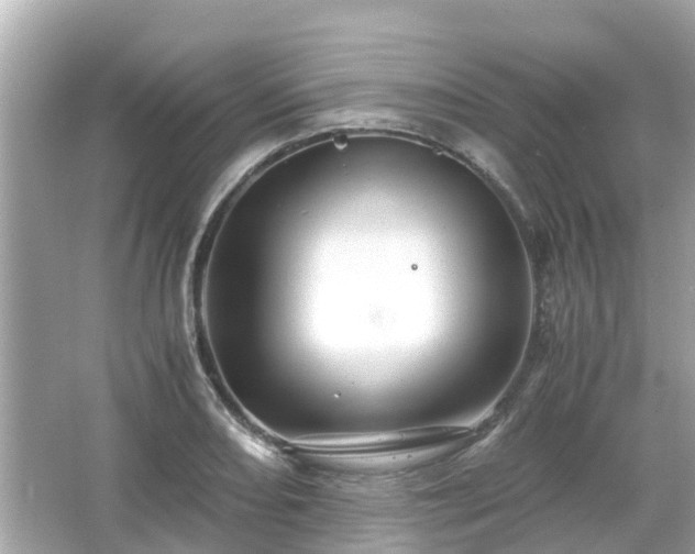 X0000066001082200603101524