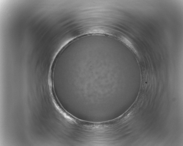 X0000066001084200603101524