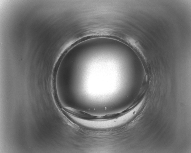 X0000066001085200603101524