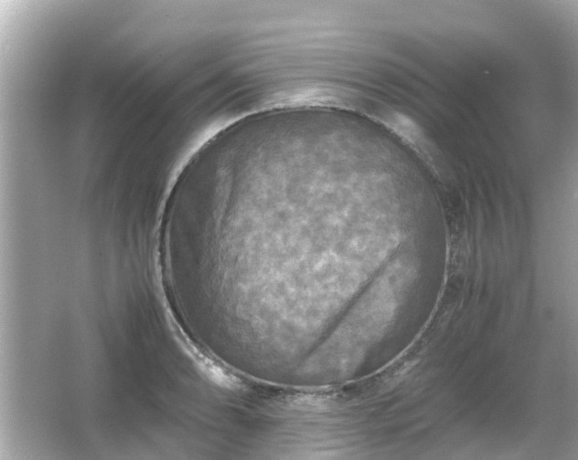 X0000066001086200603101524