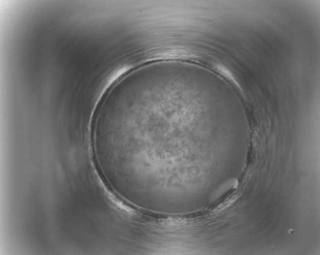 X0000066001087200603101524