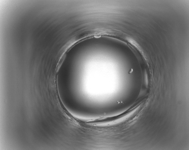 X0000066001089200603101524